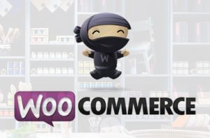 ווקומרס WooCommerce חנות ווירטואלית