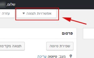 אפשרות תצוגה