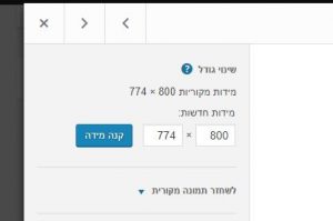הקטנת תמונה