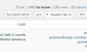 חסימת תגובות זבל