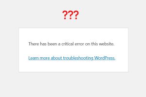 WordPress website error