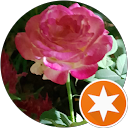 אביעד כהן profile picture