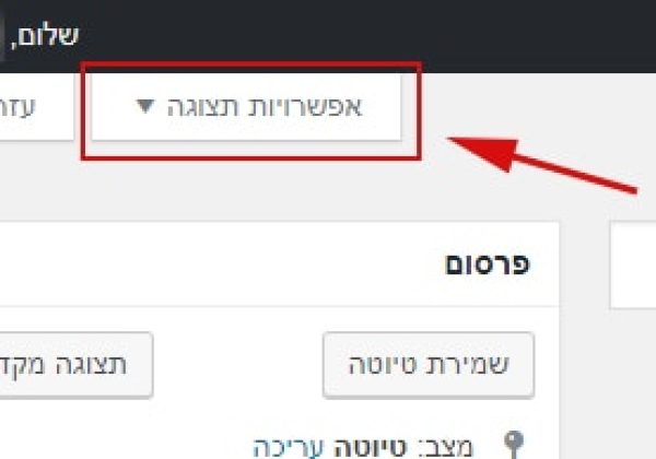 לשונית "אפשרויות תצוגה" במערכת וורדפרס