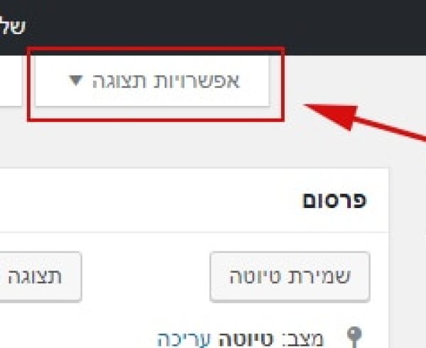 לשונית "אפשרויות תצוגה" במערכת וורדפרס