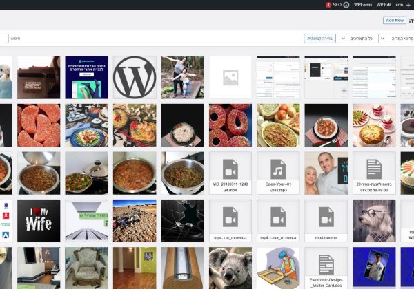 הכרות עם ספריית המדיה של וורדפרס