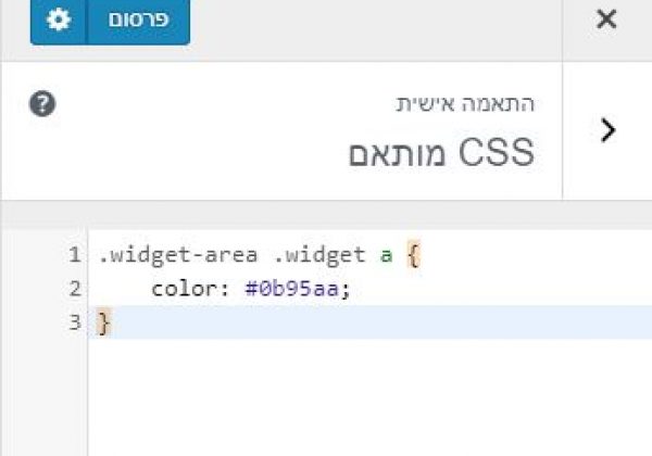 הוספת css מותאם לאתר וורדפרס