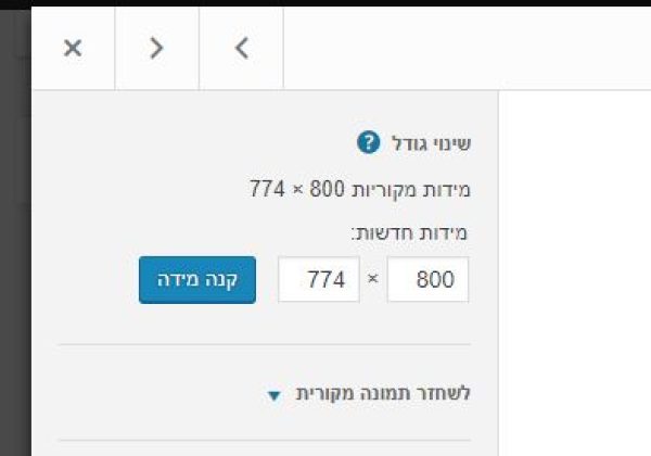 שינוי גודל/הקטנת תמונה במדיה של וורדפרס