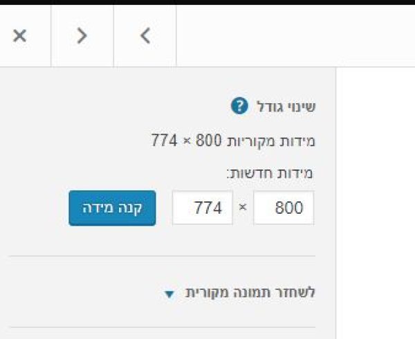 שינוי גודל/הקטנת תמונה במדיה של וורדפרס